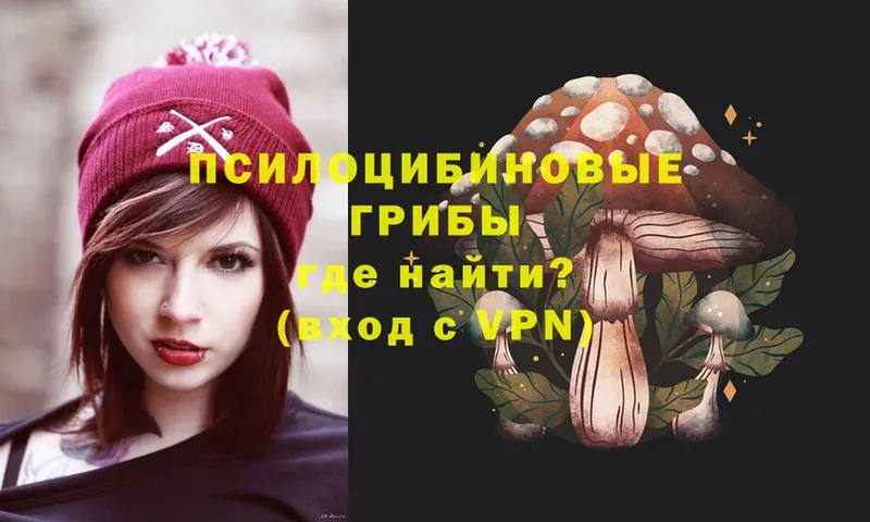 Галлюциногенные грибы Psilocybe  магазин продажи наркотиков  Мирный 